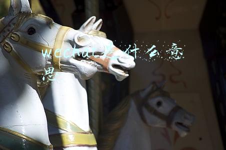 wechat是什么意思