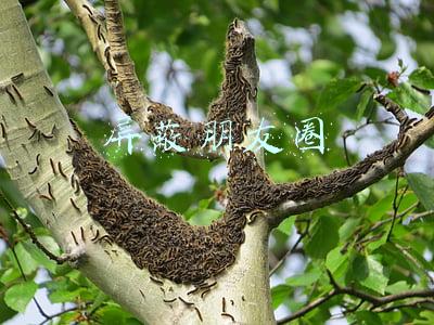屏蔽朋友圈