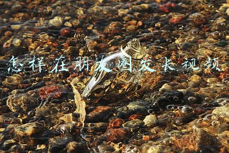 怎样在朋友圈发长视频 怎样在朋友圈发长视频