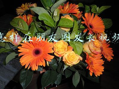 怎样在朋友圈发长视频