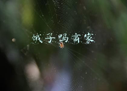 饿了吗商家