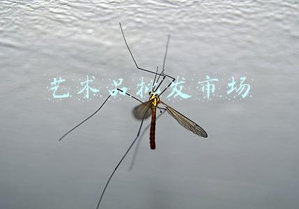 艺术品批发市场