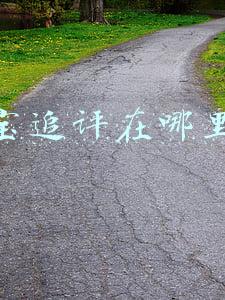 淘宝追评在哪里看