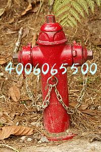 4006065500