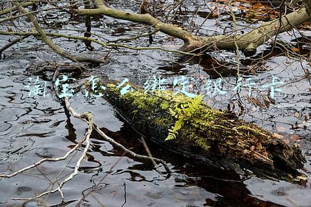 淘宝怎么绑定银行卡