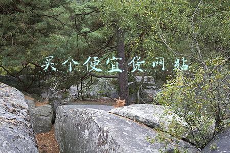 买个便宜货网站