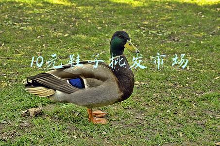 10元鞋子批发市场