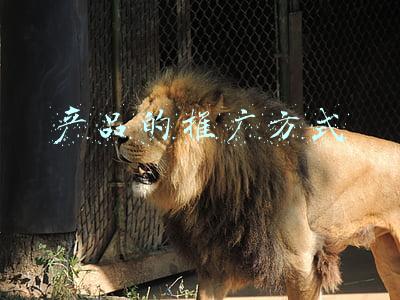 产品的推广方式有哪些(谈谈产品推销10点方法)