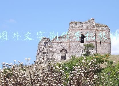 图片文字制作手机软件