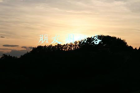 朋友圈访客
