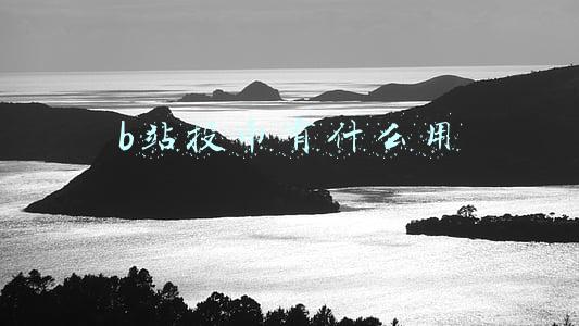 b站投币有什么用