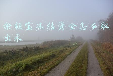 余额宝冻结资金怎么取出来