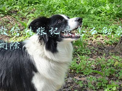 微信转账记录怎么彻底删除