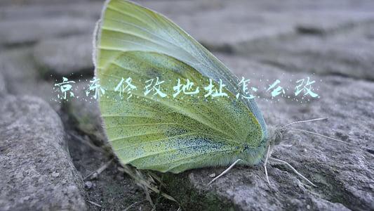京东修改地址怎么改