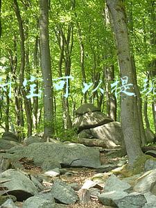 支付宝可以提现吗