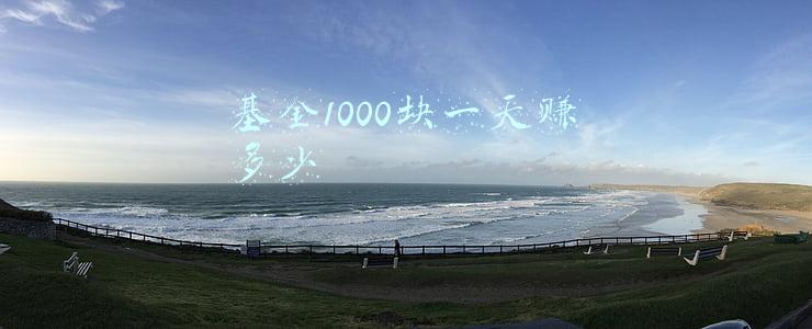 基金1000块一天赚多少
