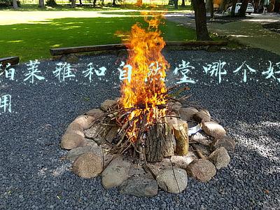 珀莱雅和自然堂哪个好用