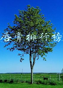 唇膏排行榜