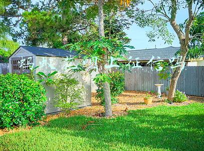 蚂蚁花呗上征信吗