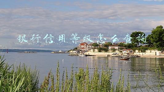 银行信用等级怎么查询