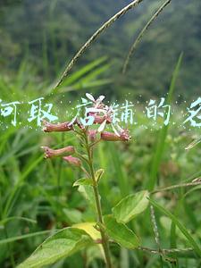 如何取店铺的名字