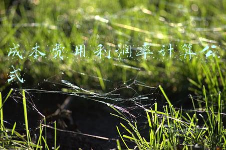 成本费用利润率计算公式