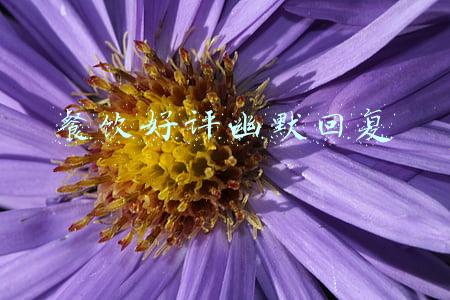 餐饮好评幽默回复差评(餐饮外卖评价回复我有招！好评差评回复模板请收藏！)