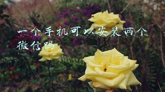 一个手机可以安装两个微信吗