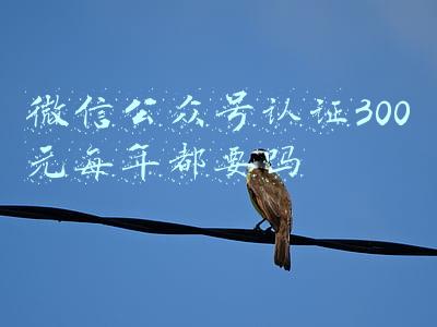 微信公众号认证300元每年都要吗