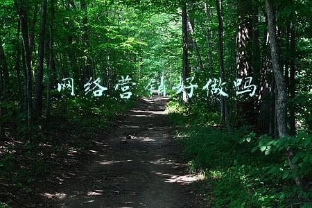 网络营销好做吗