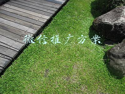 微信推广方案