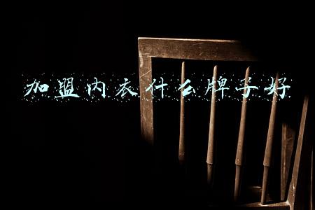 加盟内衣什么牌子好
