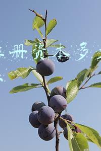 公司注册资本包括哪些(哈啰出行注册资本增加至44亿，增幅25.71%)