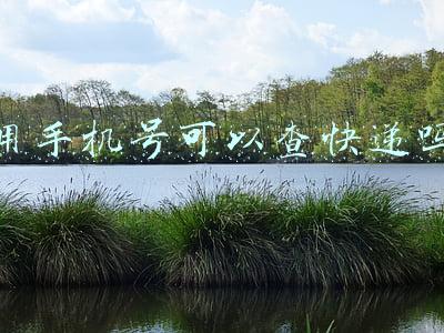 用手机号可以查快递吗