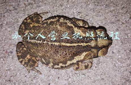 办个人营业执照流程