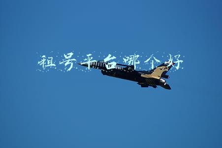 租号平台哪个好