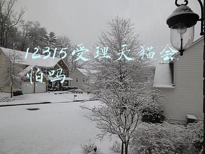 12315受理天猫会怕吗