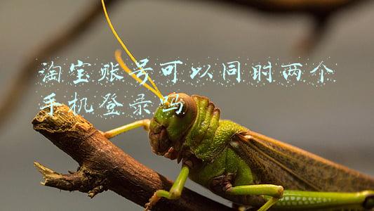 手机淘宝怎么切换账号(《淘宝》切换账号登录方法)