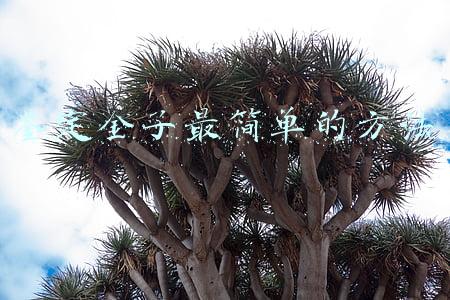 在家鉴定金子最简单的方法(在家里怎么鉴定黄金真伪？)