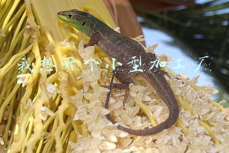 我想开个小型加工厂