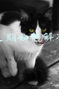 win7证书过期如何解决方法(浏览器网站安全证书过期怎么办)