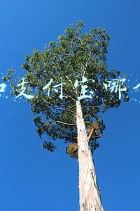 微信和支付宝是一家吗(下月起用微信支付宝支付更便捷 个人收款码不关闭不停用)