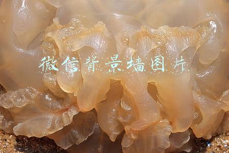 微信背景墙图片