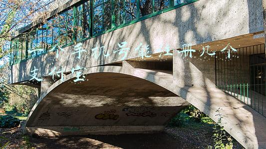 一个手机号能注册几个支付宝怎么注册(“电子驾驶证”今起在全国全面推广，申领指南来了)