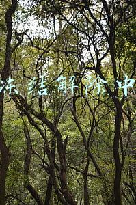 qq冻结解除中心