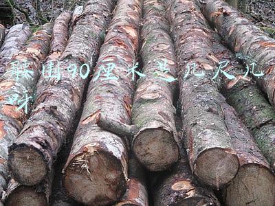 腰围90厘米是几尺几呀