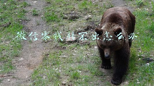 微信零钱转不出怎么办