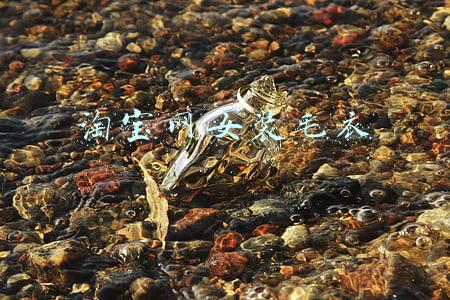 淘宝网女装毛衣