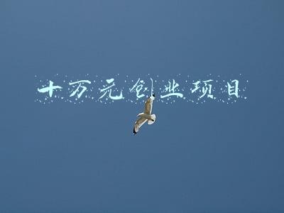 创业好项目10万元(浙江大学生在三领域创业可获10万元补贴)