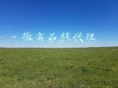 微商品牌代理